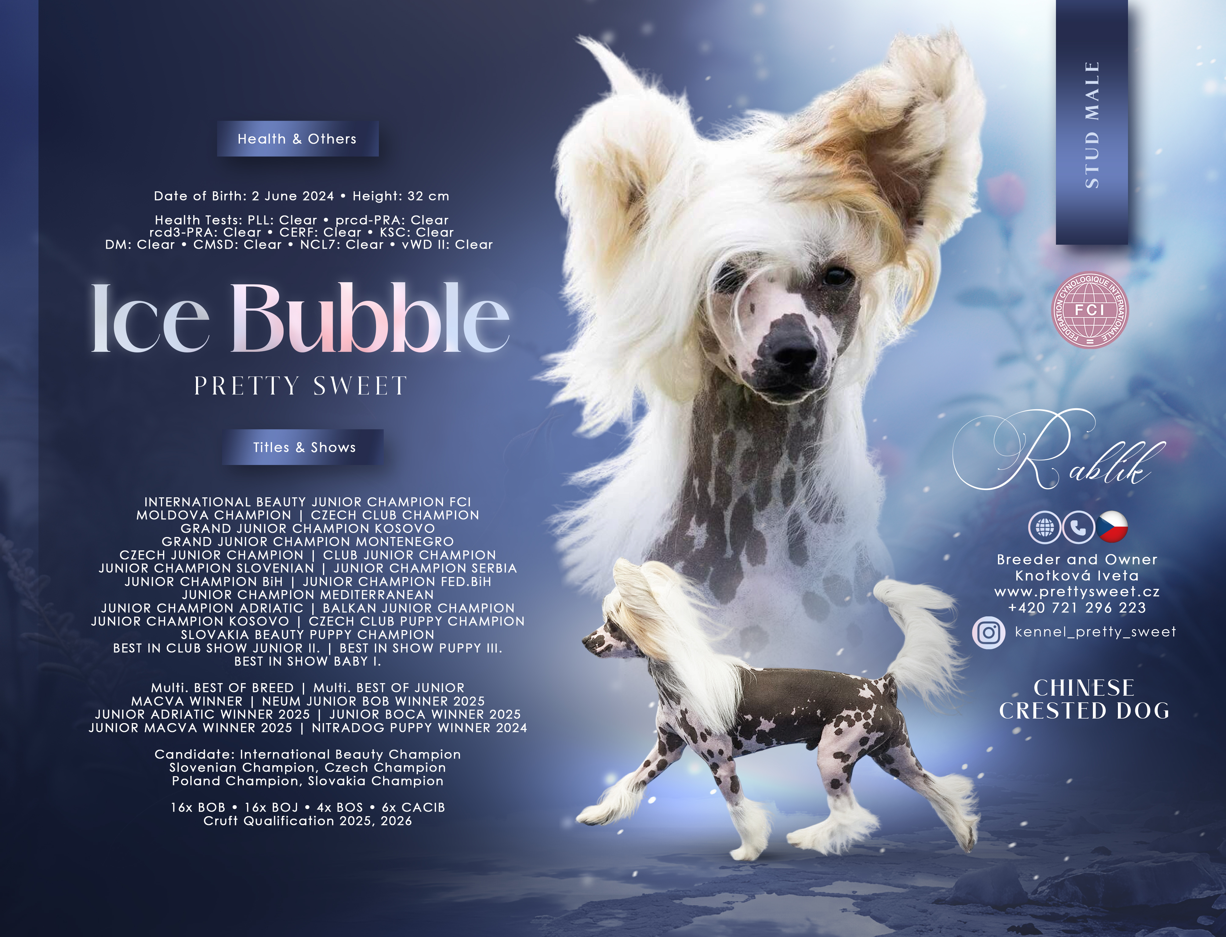 Ice Bubble